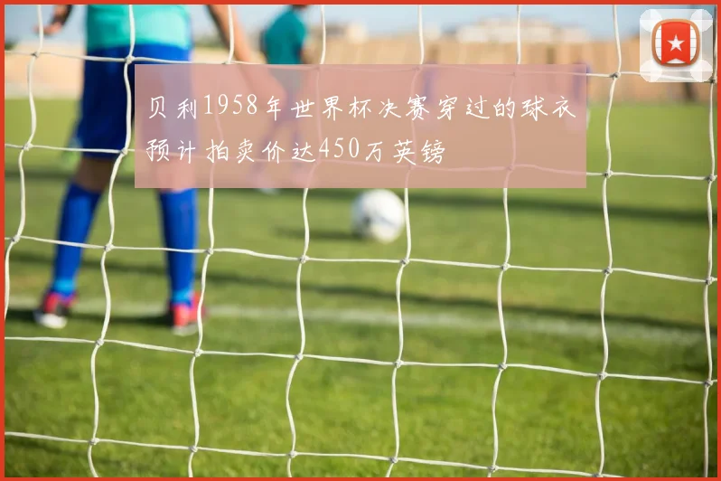 贝利1958年世界杯决赛穿过的球衣预计拍卖价达450万英镑